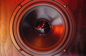 Close Up of Speaker Cone